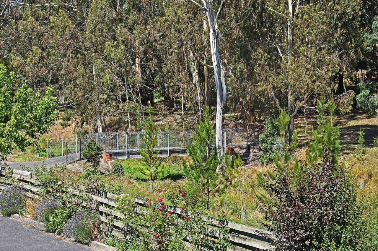 Main Lead Ballarat Motel المظهر الخارجي الصورة